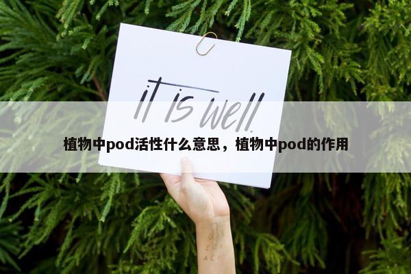 植物中pod活性什么意思，植物中pod的作用