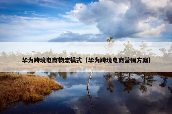 华为跨境电商物流模式（华为跨境电商营销方案）