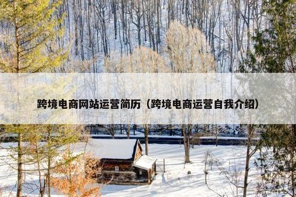 跨境电商网站运营简历（跨境电商运营自我介绍）