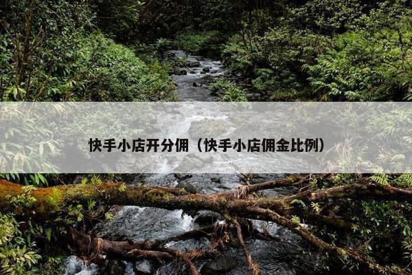 快手小店开分佣（快手小店佣金比例）