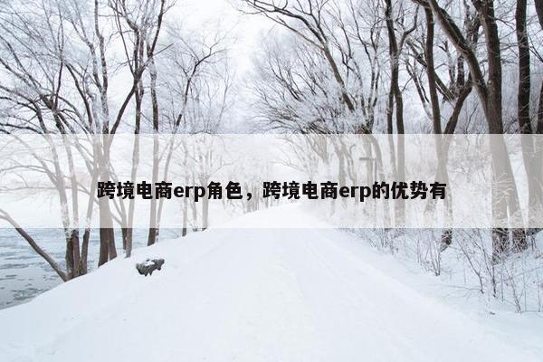 跨境电商erp角色，跨境电商erp的优势有