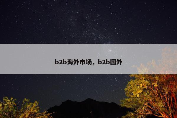 b2b海外市场，b2b国外