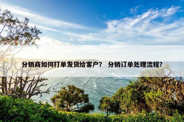 分销商如何打单发货给客户？ 分销订单处理流程？