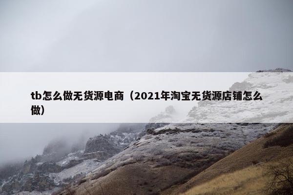 tb怎么做无货源电商（2021年淘宝无货源店铺怎么做）