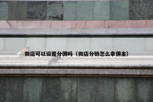 微店可以设置分佣吗（微店分销怎么拿佣金）