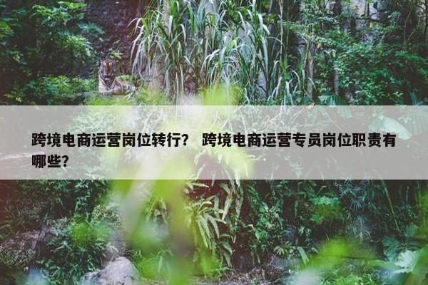 跨境电商运营岗位转行？ 跨境电商运营专员岗位职责有哪些？