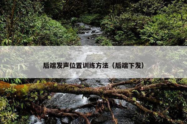后端发声位置训练方法（后端下发）
