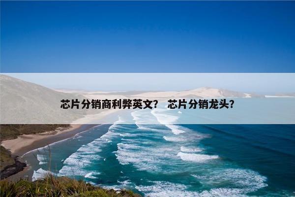 芯片分销商利弊英文？ 芯片分销龙头？