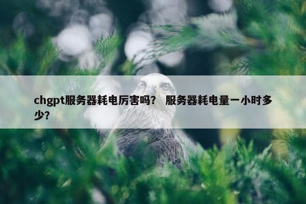 chgpt服务器耗电厉害吗？ 服务器耗电量一小时多少？