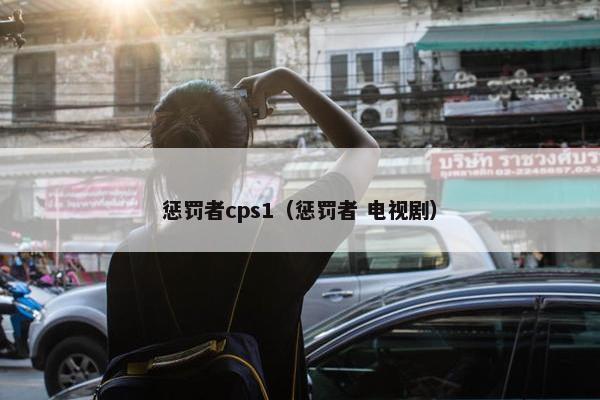 惩罚者cps1（惩罚者 电视剧）