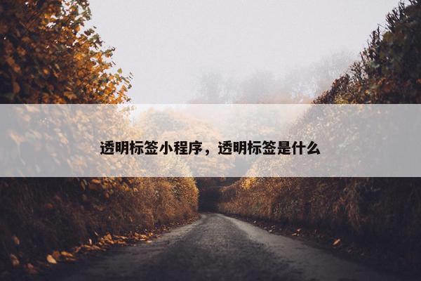 透明标签小程序，透明标签是什么