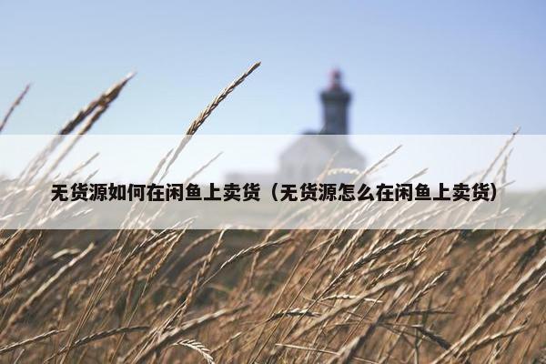 无货源如何在闲鱼上卖货（无货源怎么在闲鱼上卖货）