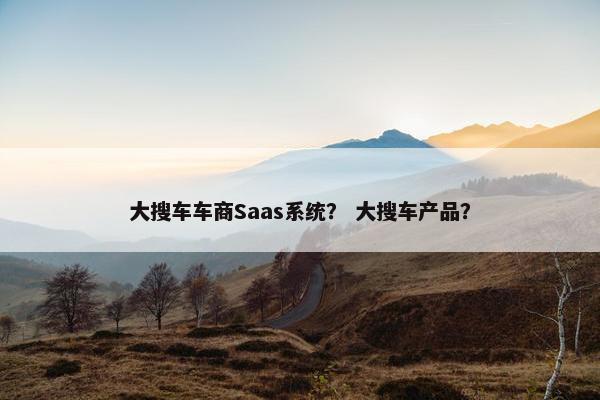 大搜车车商Saas系统？ 大搜车产品？