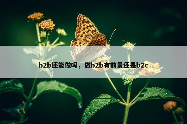b2b还能做吗，做b2b有前景还是b2c