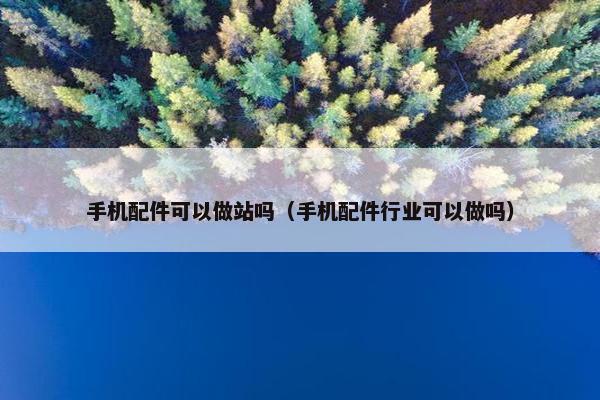 手机配件可以做站吗（手机配件行业可以做吗）