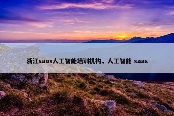 浙江saas人工智能培训机构，人工智能 saas