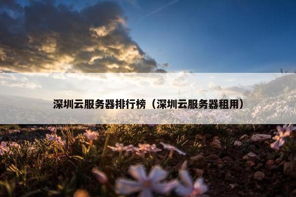 深圳云服务器排行榜（深圳云服务器租用）