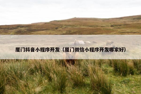 厦门抖音小程序开发（厦门微信小程序开发哪家好）