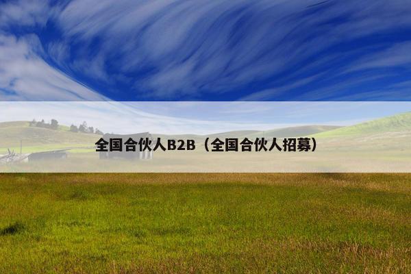 全国合伙人B2B（全国合伙人招募）