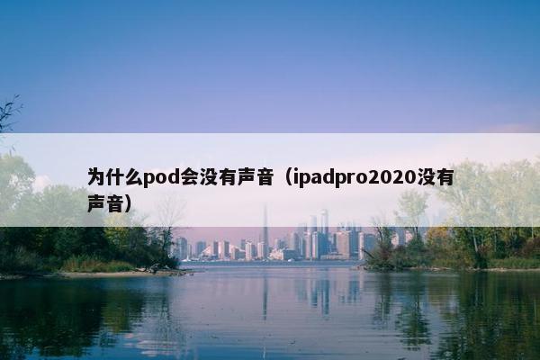 为什么pod会没有声音（ipadpro2020没有声音）