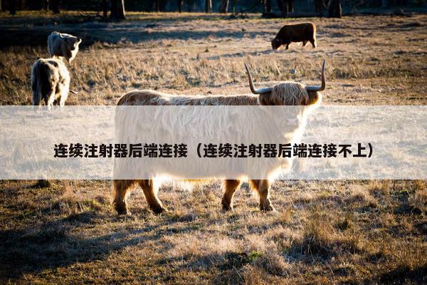 连续注射器后端连接（连续注射器后端连接不上）