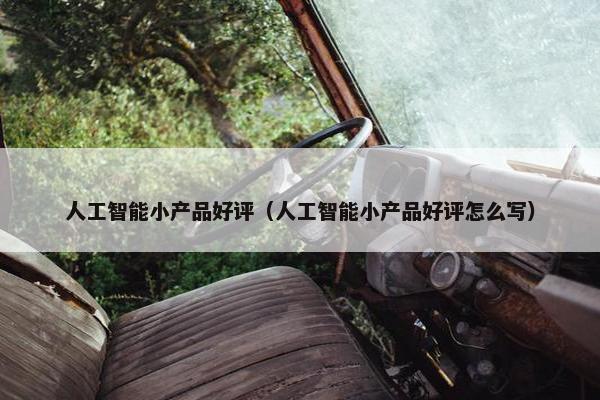 人工智能小产品好评（人工智能小产品好评怎么写）