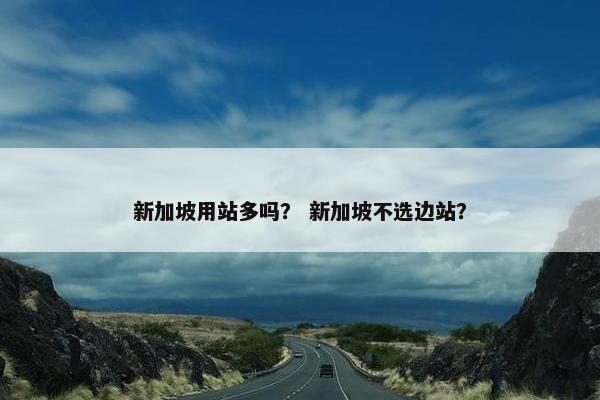 新加坡用站多吗？ 新加坡不选边站？