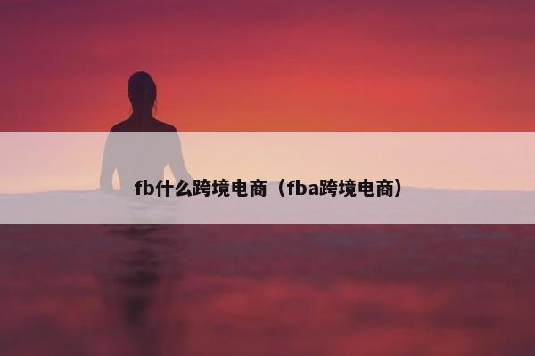 fb什么跨境电商（fba跨境电商）