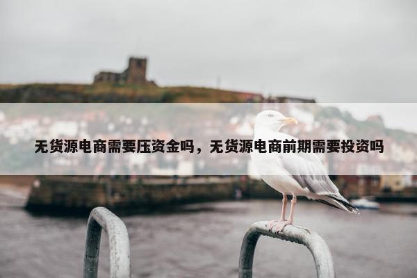 无货源电商需要压资金吗，无货源电商前期需要投资吗