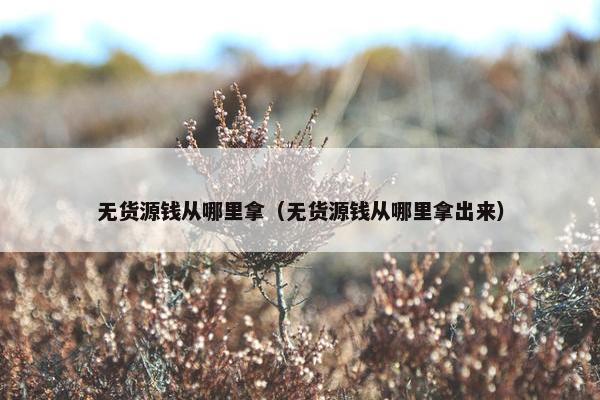 无货源钱从哪里拿（无货源钱从哪里拿出来）