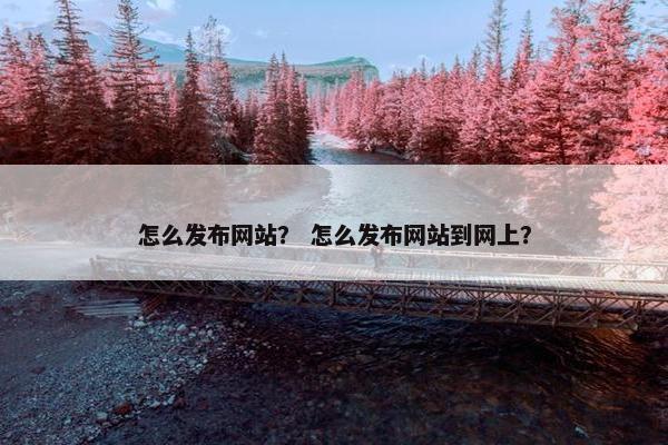 怎么发布网站？ 怎么发布网站到网上？