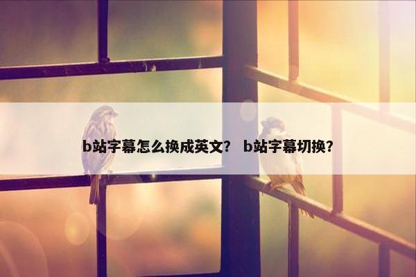 b站字幕怎么换成英文？ b站字幕切换？