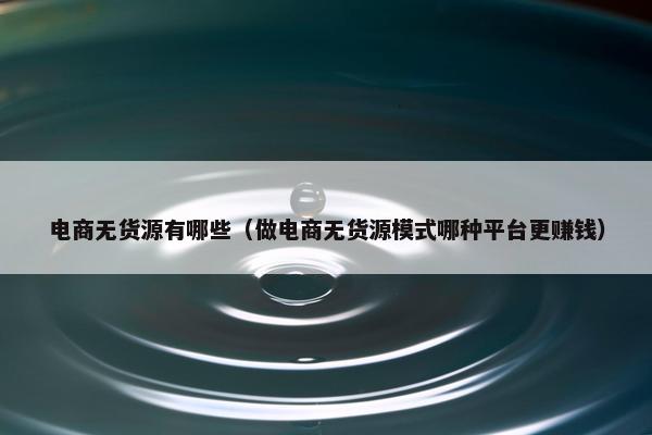 电商无货源有哪些（做电商无货源模式哪种平台更赚钱）