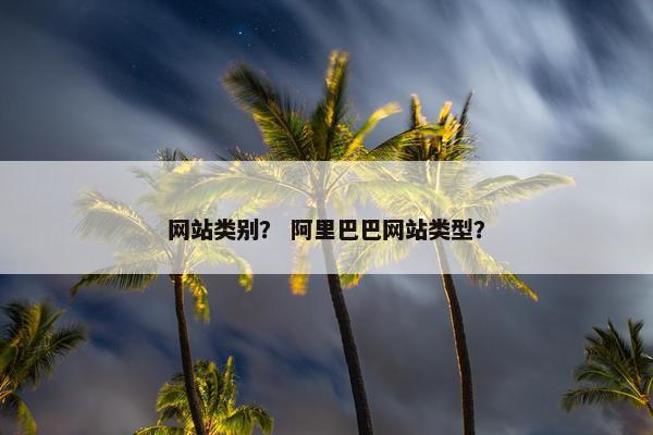 网站类别？ 阿里巴巴网站类型？