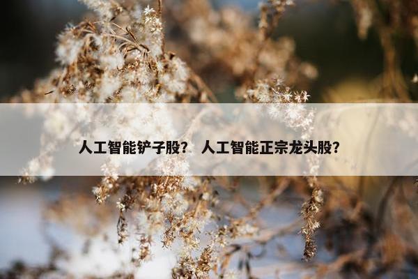 人工智能铲子股？ 人工智能正宗龙头股？