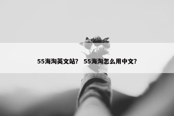 55海淘英文站？ 55海淘怎么用中文？