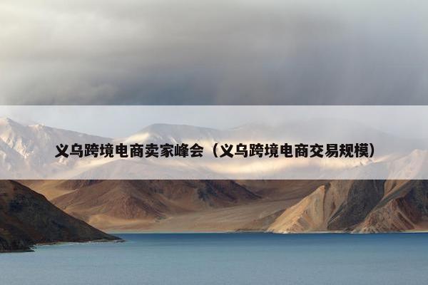 义乌跨境电商卖家峰会（义乌跨境电商交易规模）