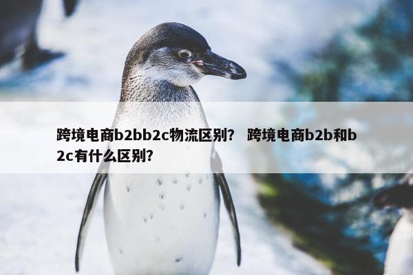 跨境电商b2bb2c物流区别？ 跨境电商b2b和b2c有什么区别？