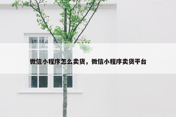微信小程序怎么卖货，微信小程序卖货平台