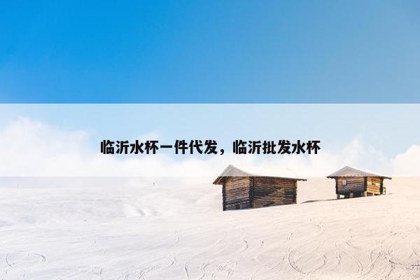 临沂水杯一件代发，临沂批发水杯