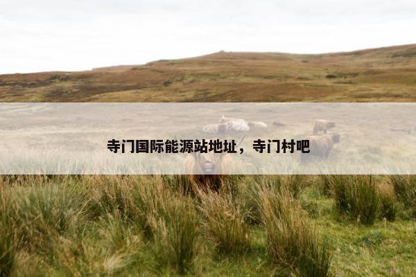 寺门国际能源站地址，寺门村吧