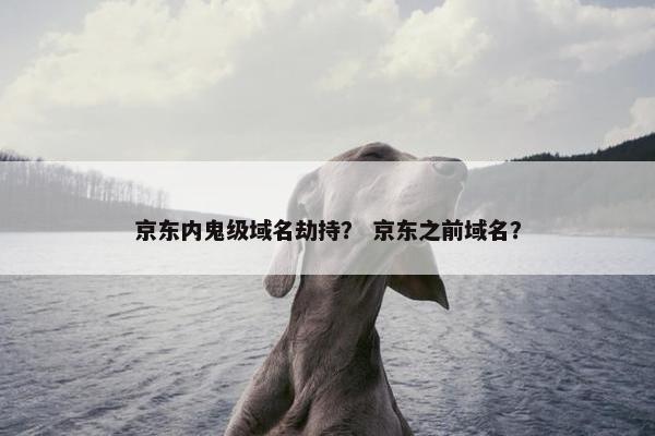 京东内鬼级域名劫持？ 京东之前域名？