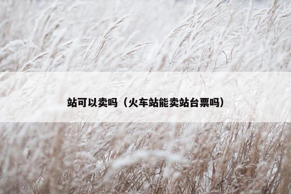 站可以卖吗（火车站能卖站台票吗）
