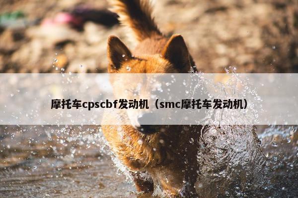 摩托车cpscbf发动机（smc摩托车发动机）