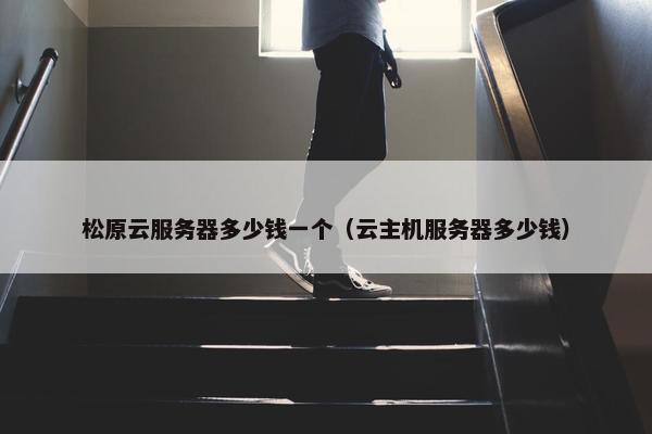松原云服务器多少钱一个（云主机服务器多少钱）