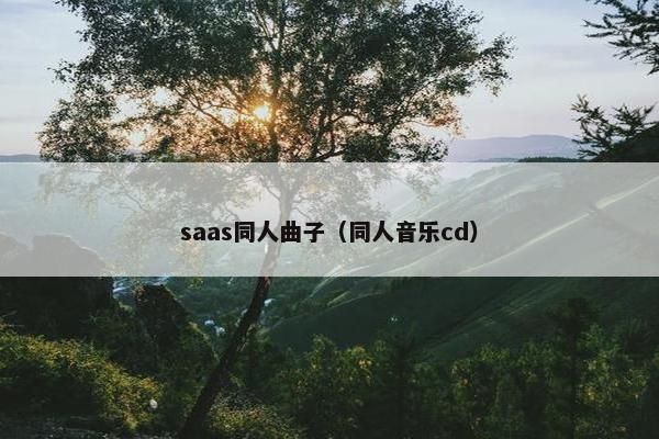 saas同人曲子（同人音乐cd）