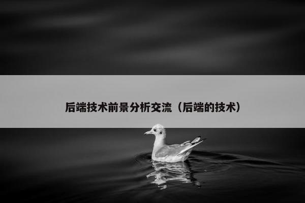 后端技术前景分析交流（后端的技术）