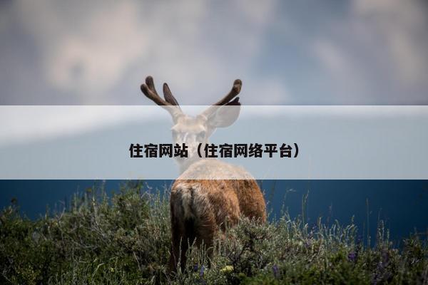 住宿网站（住宿网络平台）
