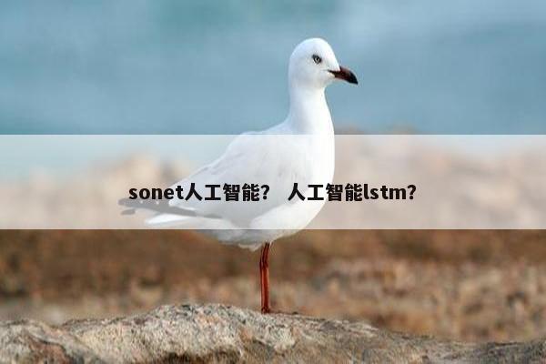 sonet人工智能？ 人工智能lstm？