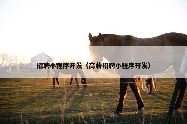 招聘小程序开发（高薪招聘小程序开发）
